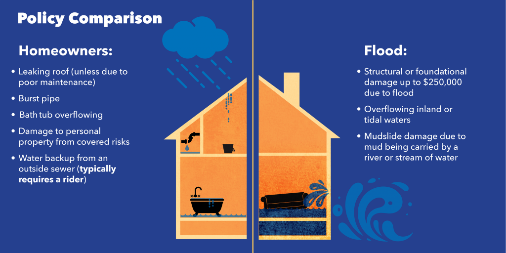 Policy Comparison between Homeowners and Flood