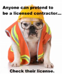 Anyone Can Pretend - working dog - with verify online v2