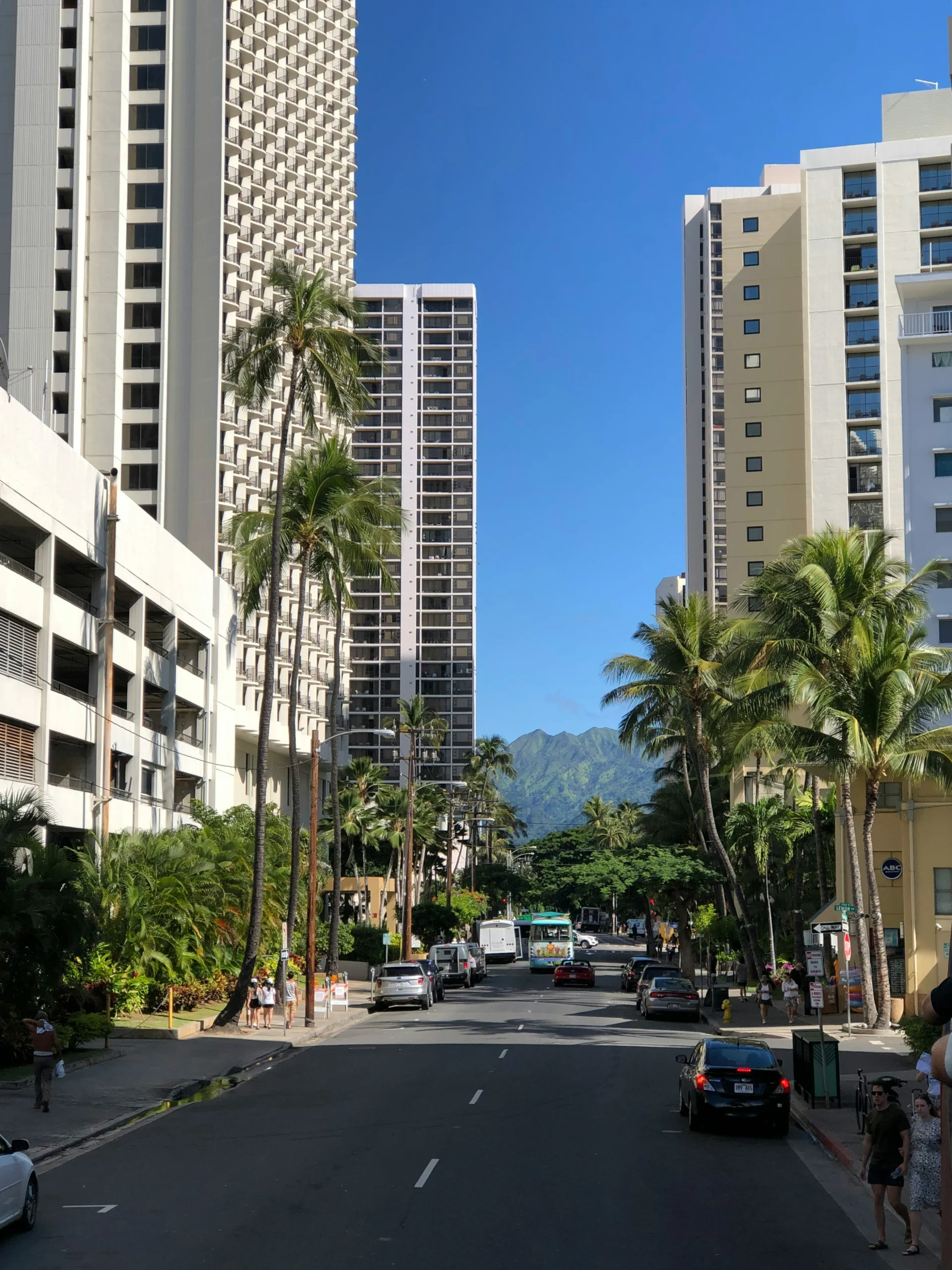 buildings and trees are along the road