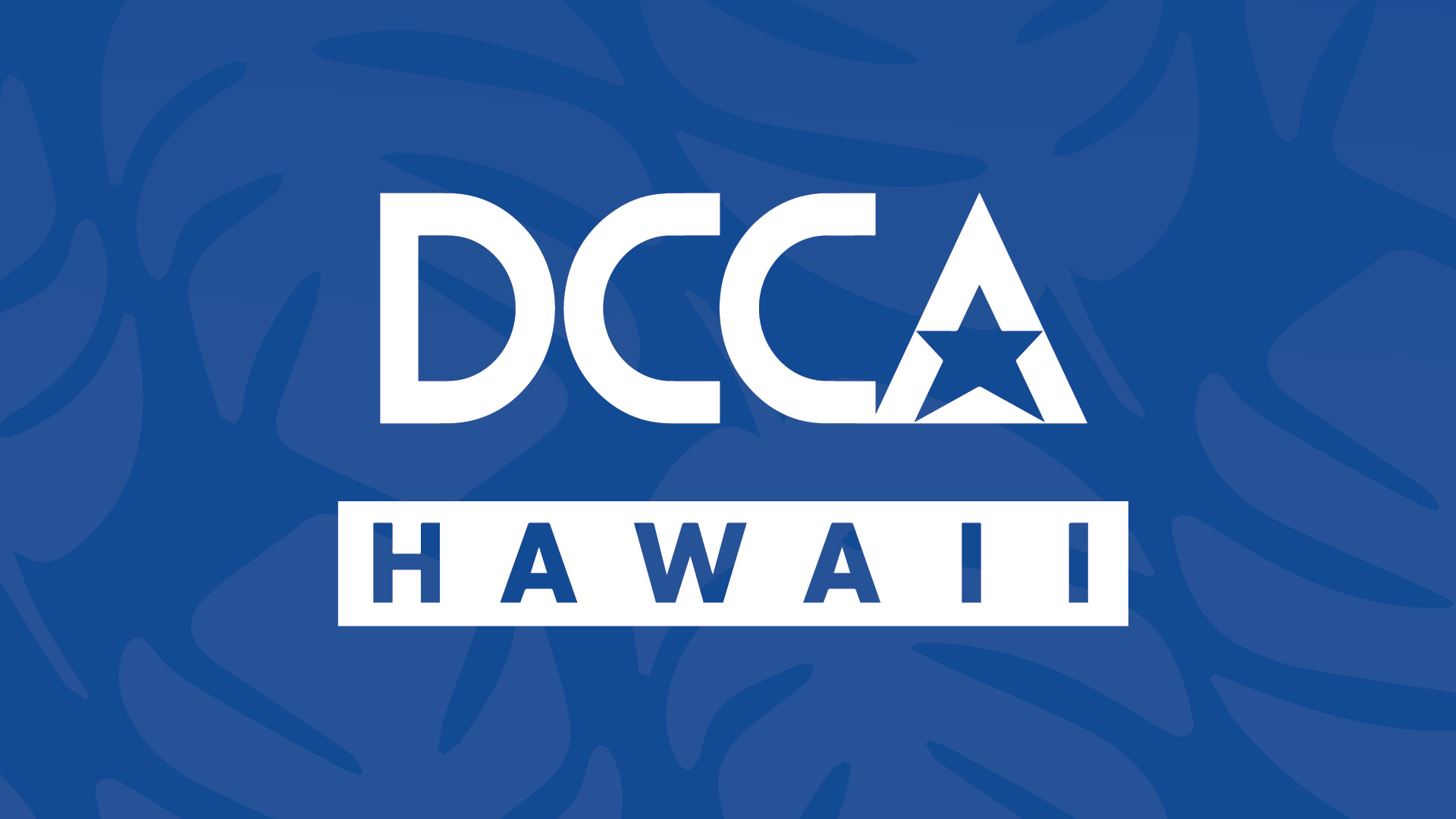 HAWAIʻI OFFICE OF CONSUMER PROTECTION OPPOSES FEDERAL SECURE DATA ACT LEGISLATION Image